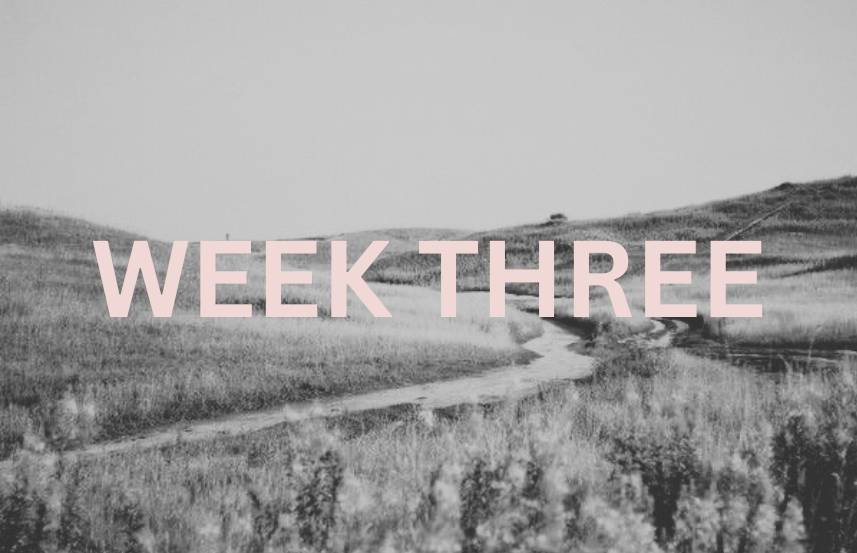 Week 3 Post